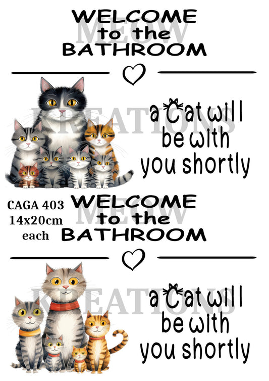CAGA 403