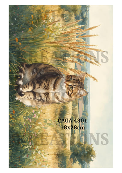 Tabby Cat in Country Meadow Decoupage Rice Paper - CAGA 4301