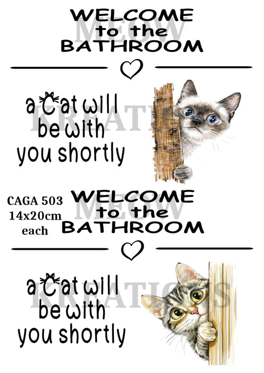 CAGA 503