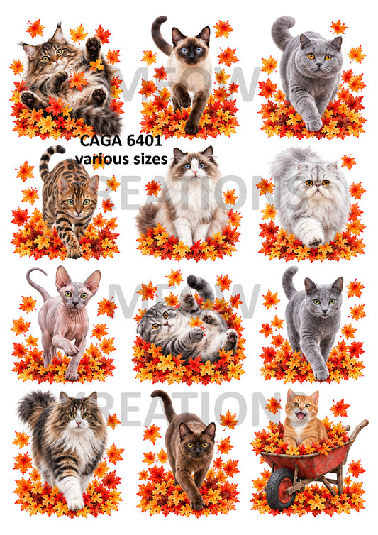 Autumn Cats Collection Decoupage Rice Paper - CAGA 6401