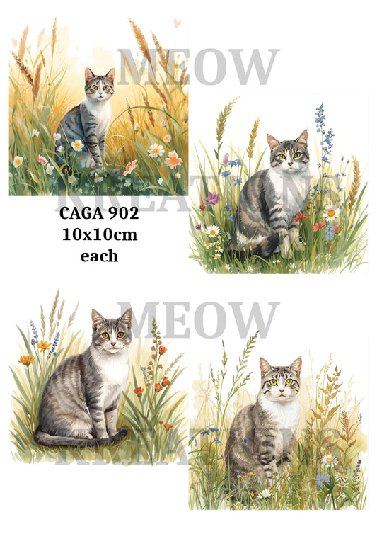 CAGA 902