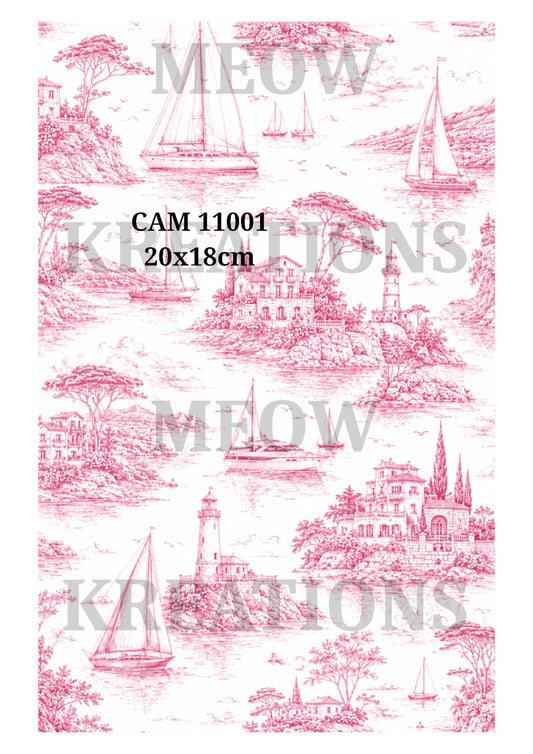 CAM 11001