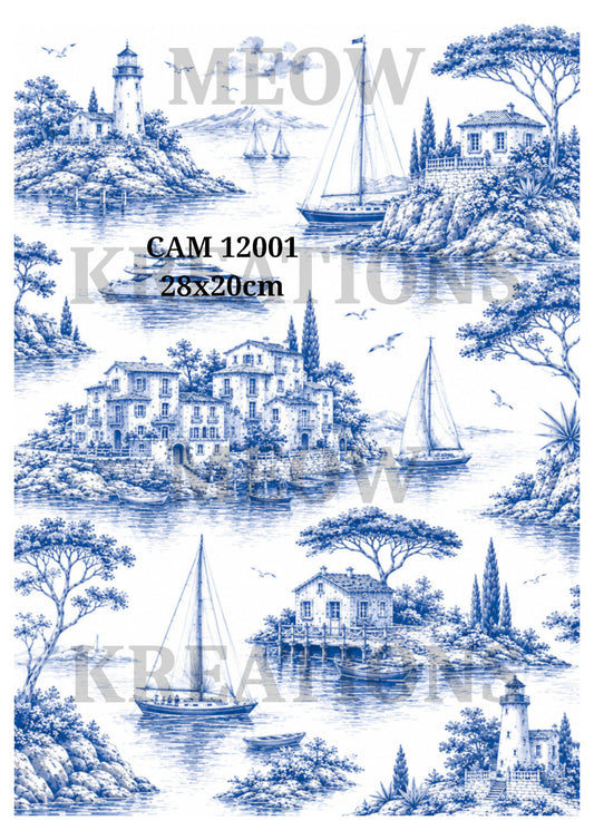 CAM 12001