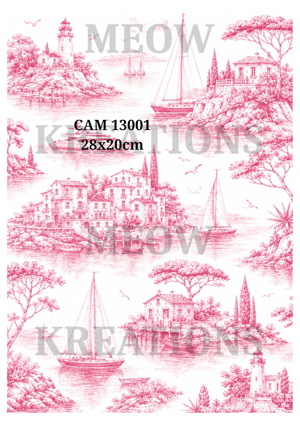 CAM 13001
