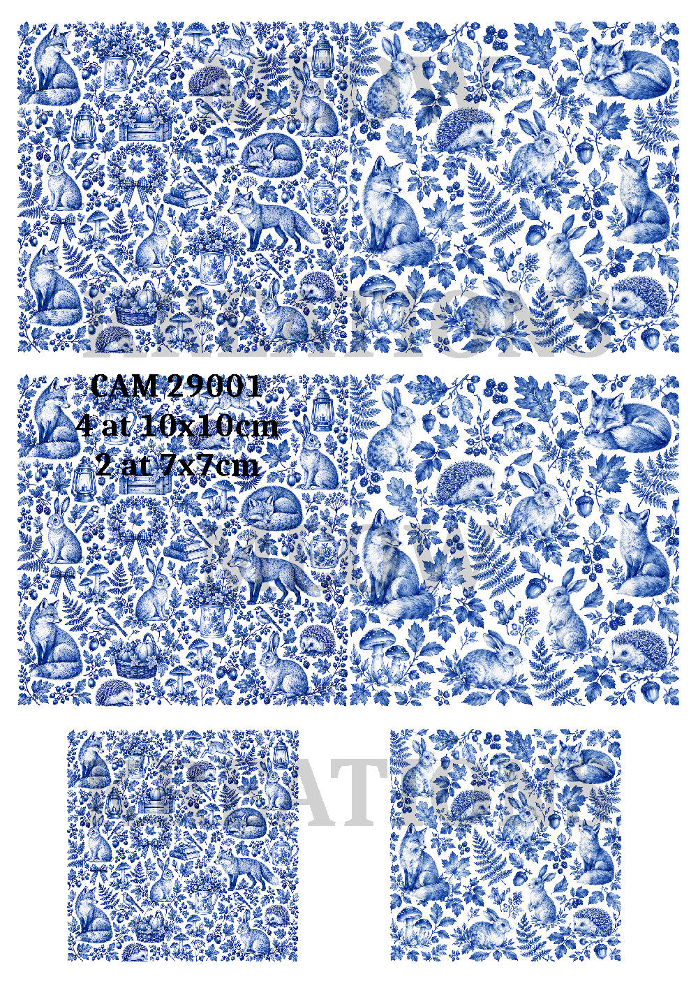 CAM 29001