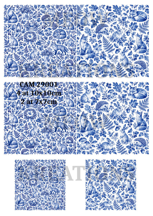 CAM 29001