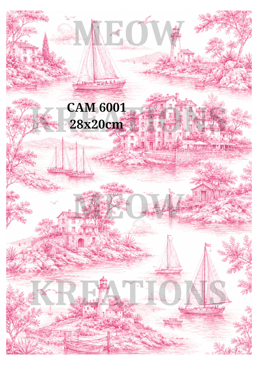 CAM 6001