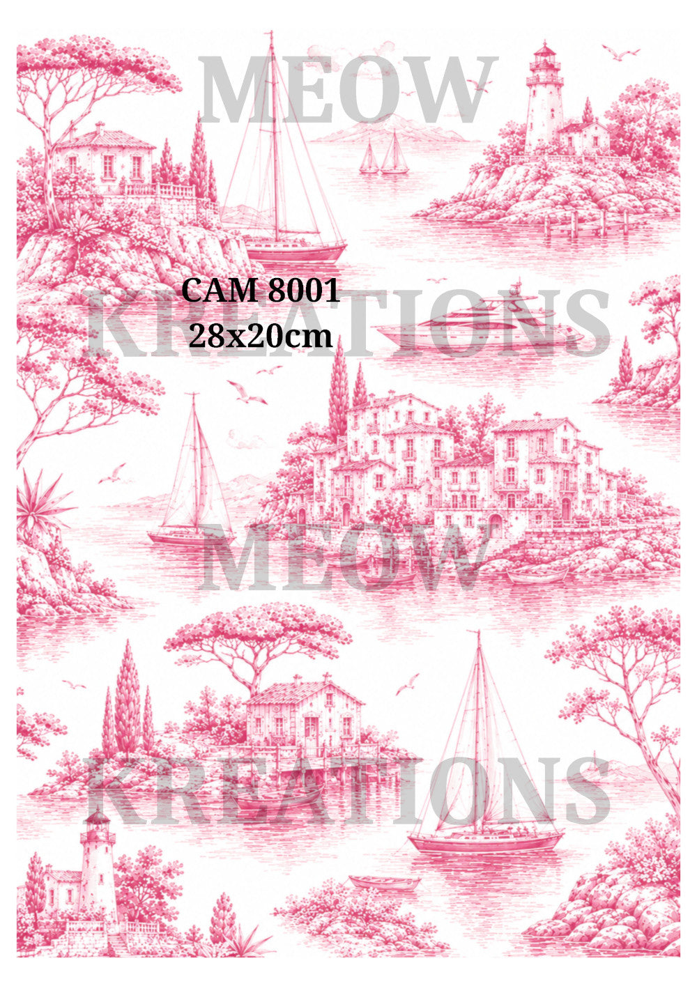 CAM 8001