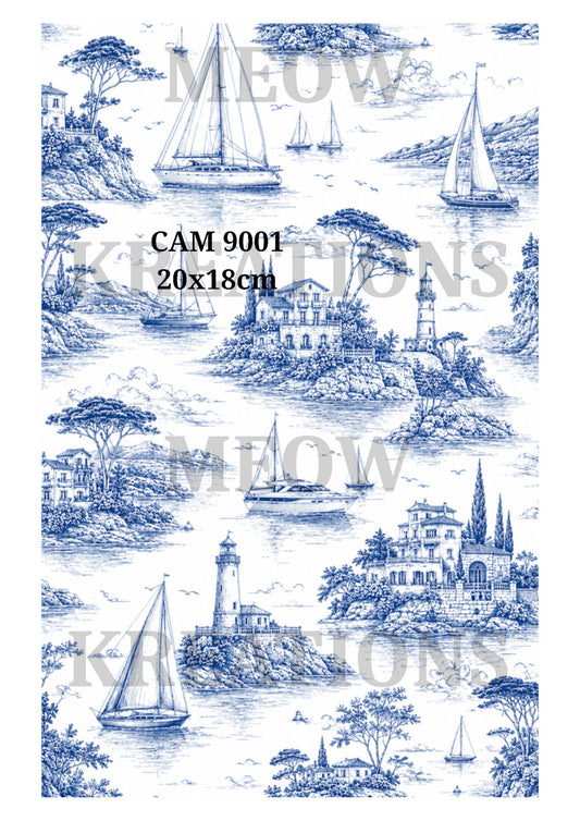 CAM 9001