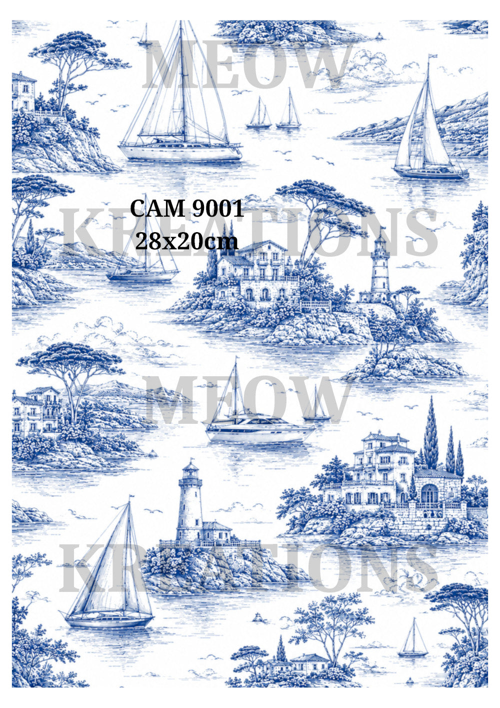 CAM 9001