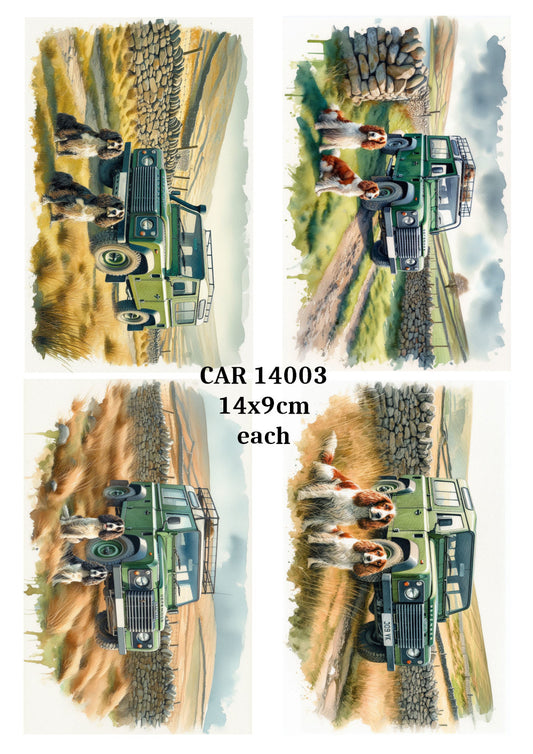 CAR 14003