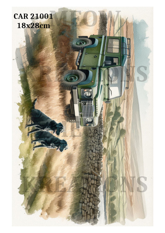 CAR 21001