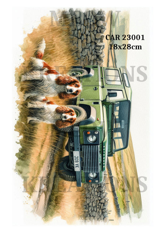 CAR 23001