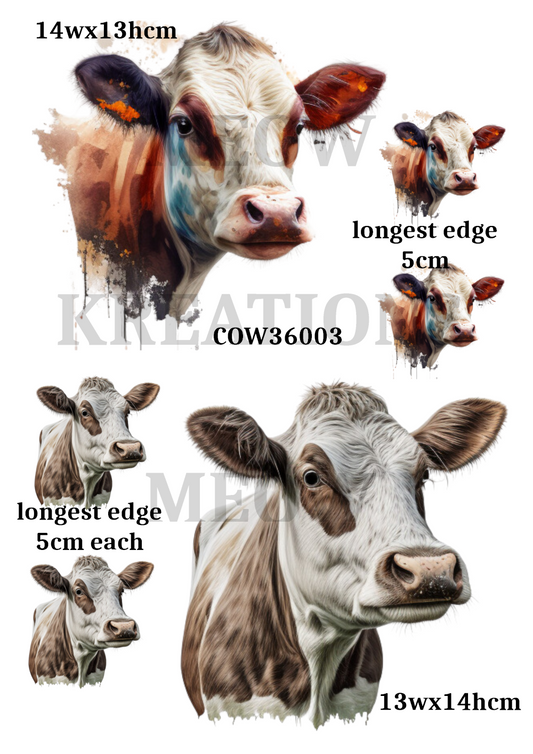 COW 36003