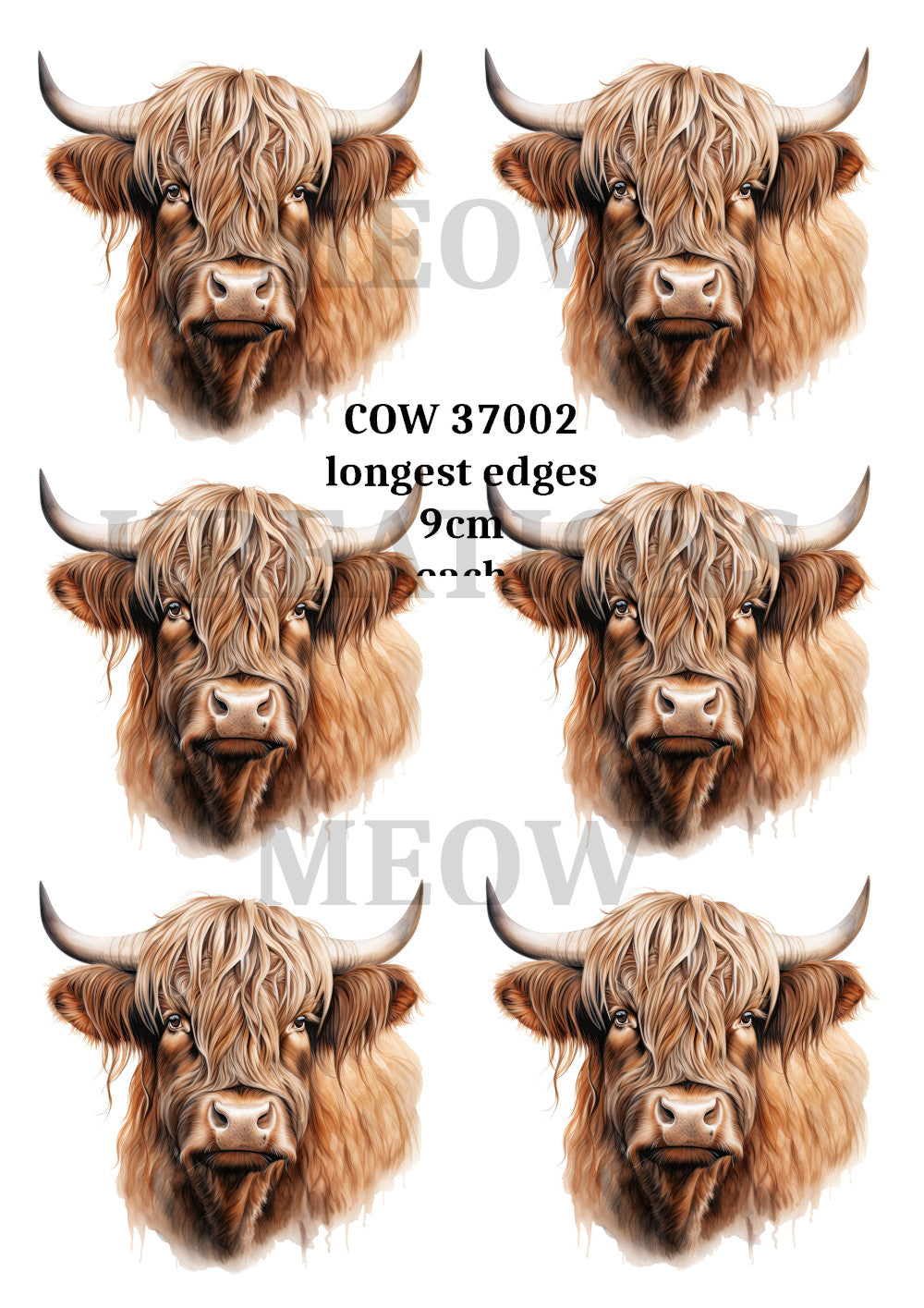 COW 37002