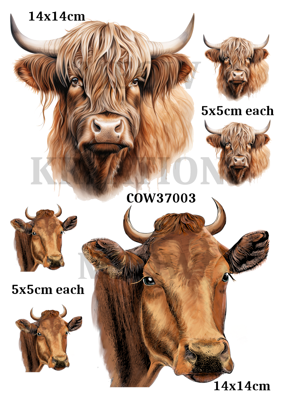 COW 37003