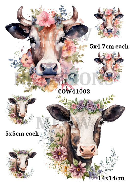 COW 41003