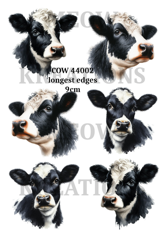 COW 44002