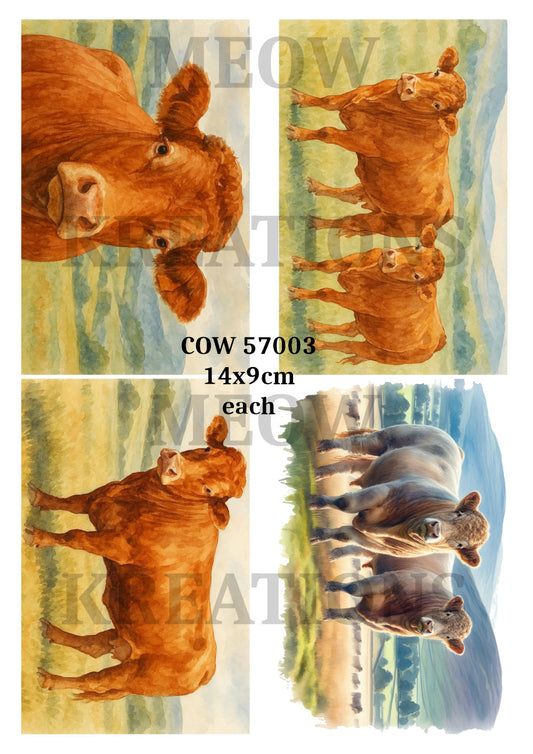 COW 57003