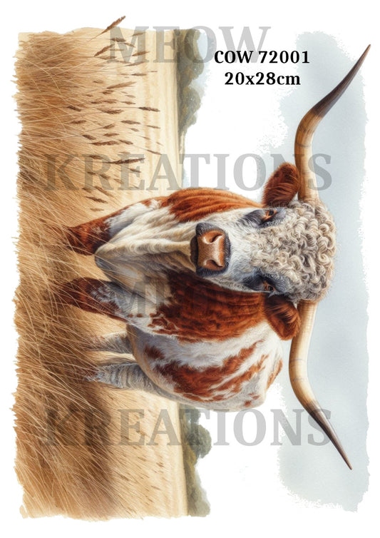 COW 72001