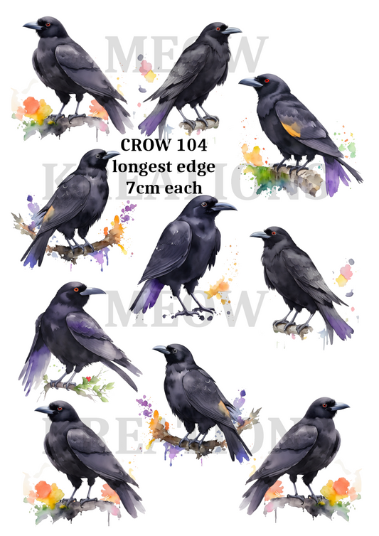 CROW 104