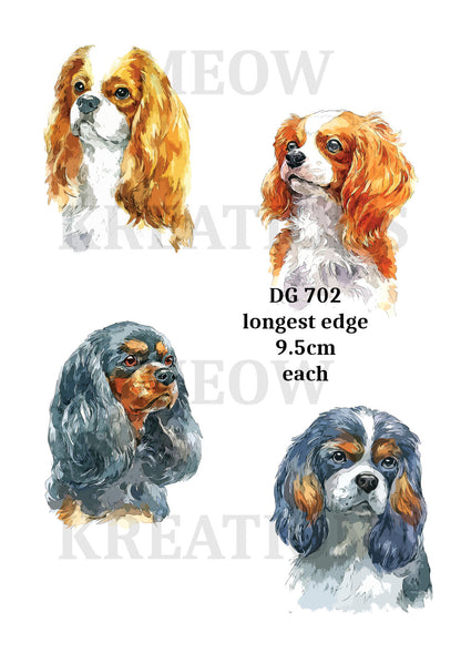 Cavalier King Charles Spaniels Decoupage Rice Paper - DG 702