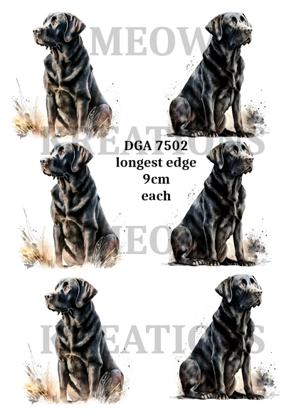 Labrador Decoupage Rice Paper - DGA 7502