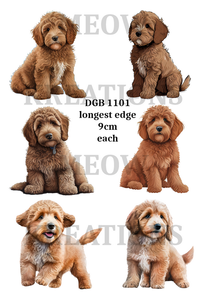 Labradoodle Decoupage Rice Paper - DGB 1101
