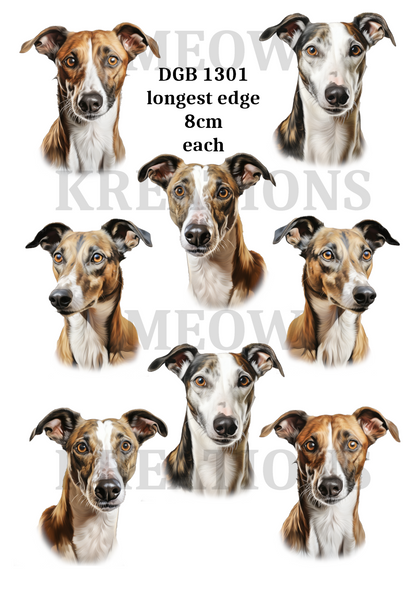 Whippet & Greyhound Watercolour Dogs Decoupage Rice Paper - DGB 1301