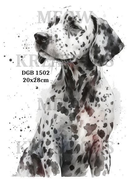 Dalmatian Watercolour Portrait Decoupage Rice Paper - DGB 1502