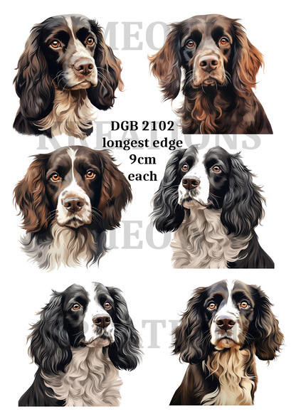 Cocker Spaniel Watercolour Portraits Decoupage Rice Paper - DGB 2102