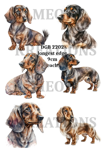 Dachshund Watercolour Dogs Decoupage Rice Paper - DGB 2202