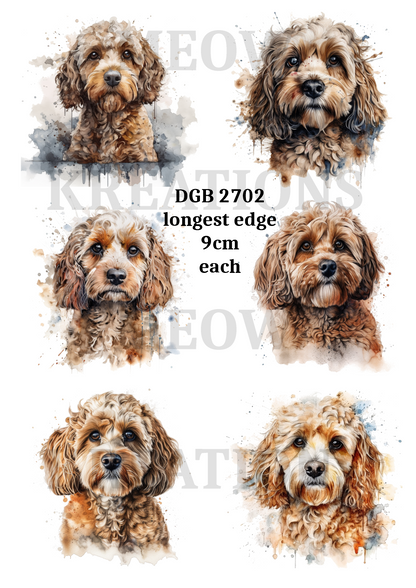Cockapoo Dog Decoupage Rice Paper - DGB 2702