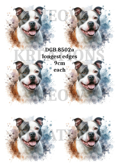 Staffordshire Bull Terrier Dog Decoupage Rice Paper - DGB 8502a