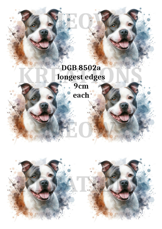 DGB 8502a
