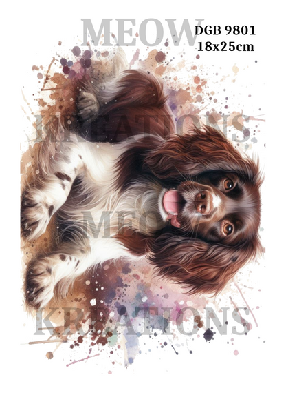 Brown & White Springer Spaniel Decoupage Rice Paper - DGB 9801
