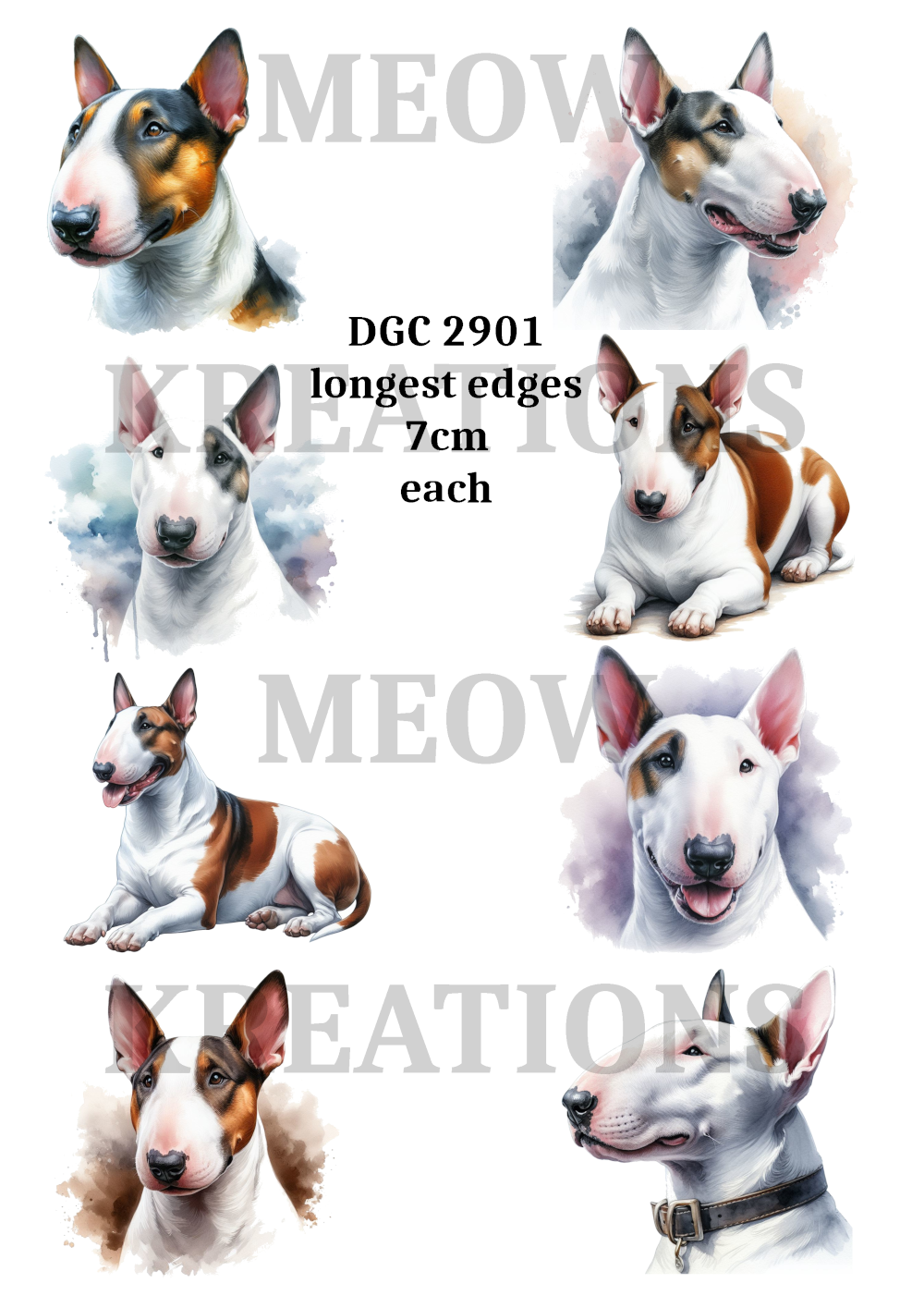 DGC 2901 – Meowkreations