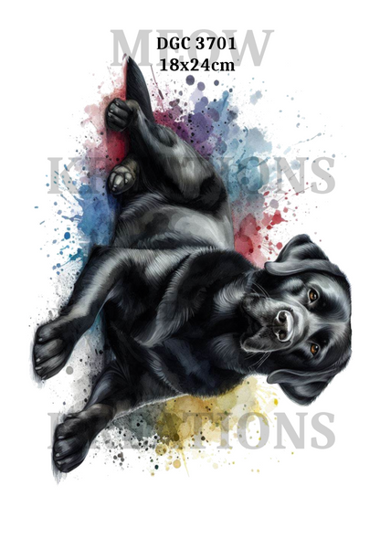 Labrador Decoupage Rice Paper - DGC 3701