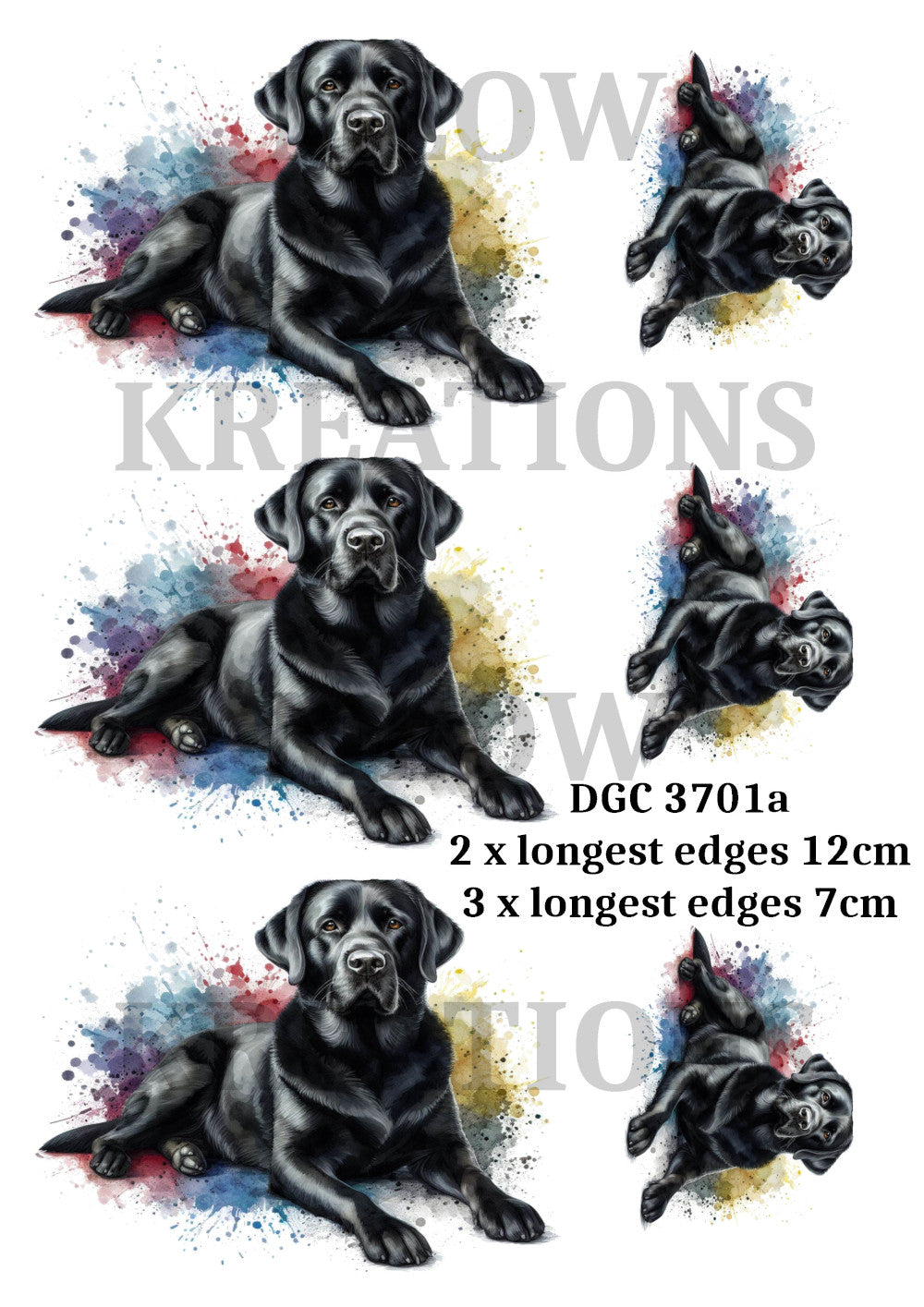 DGC 3701a