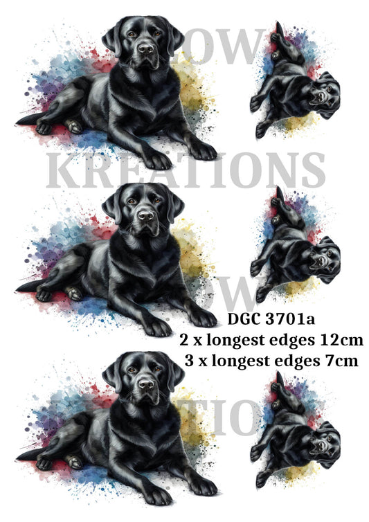 DGC 3701a