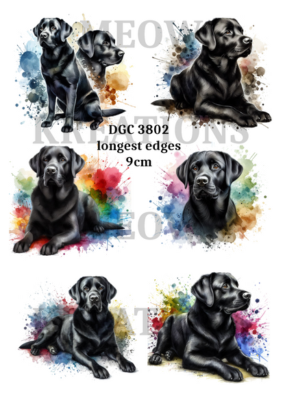 Labrador Decoupage Rice Paper - DGC 3802