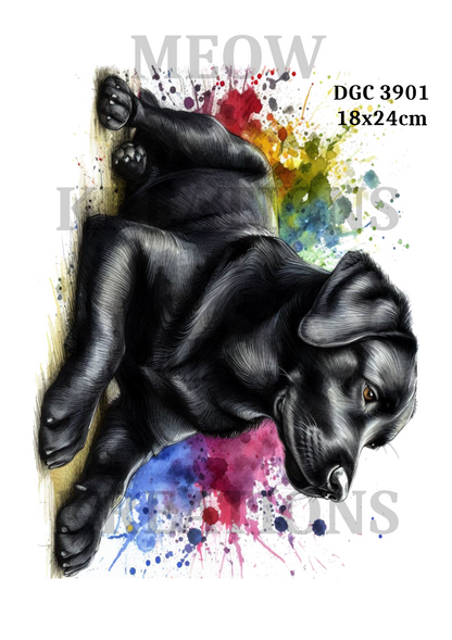 Labrador Decoupage Rice Paper - DGC 3901