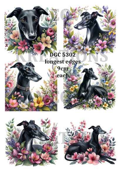 Decoupage Rice Paper – DGC 5302