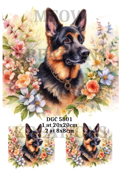 Decoupage Rice Paper – DGC 5801