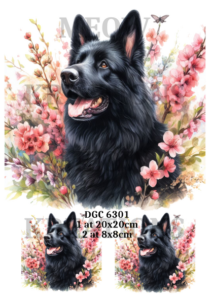 Decoupage Rice Paper – DGC 6301