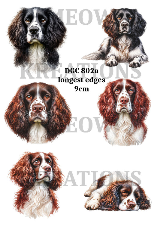 Watercolor Spaniel Dog, English Springer Decoupage Rice Paper - DGC 802a