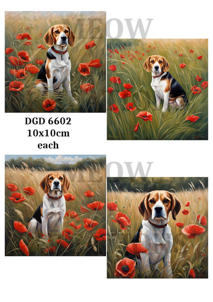 Decoupage Rice Paper – DGD 6602