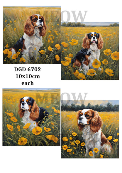 Decoupage Rice Paper – DGD 6702