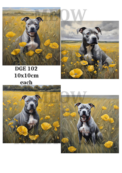 Decoupage Rice Paper – DGE 102