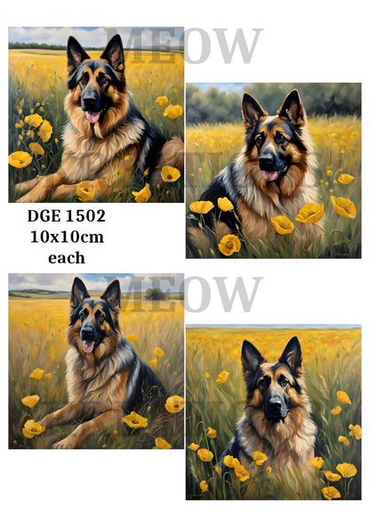Decoupage Rice Paper – DGE 1502